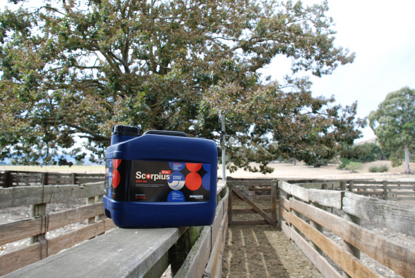 Donaghys Scorpius Elite - Double active Spot-on drench for sheep