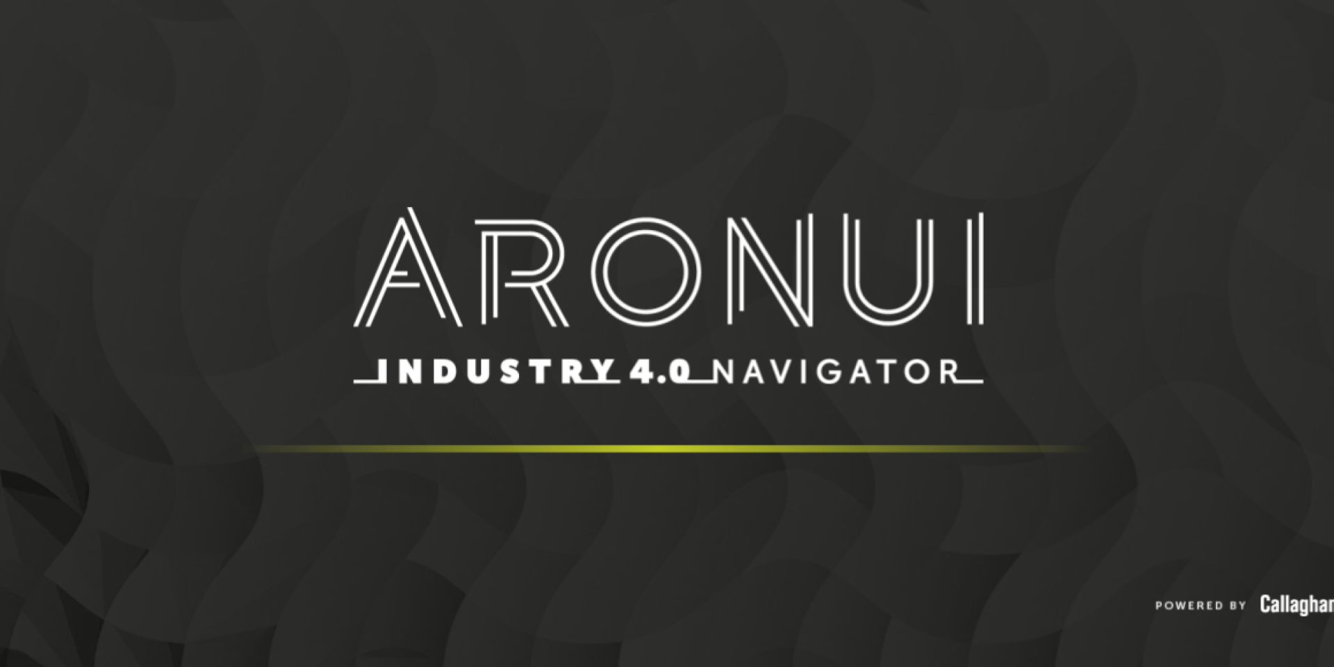 Draft Aronui banner (3)