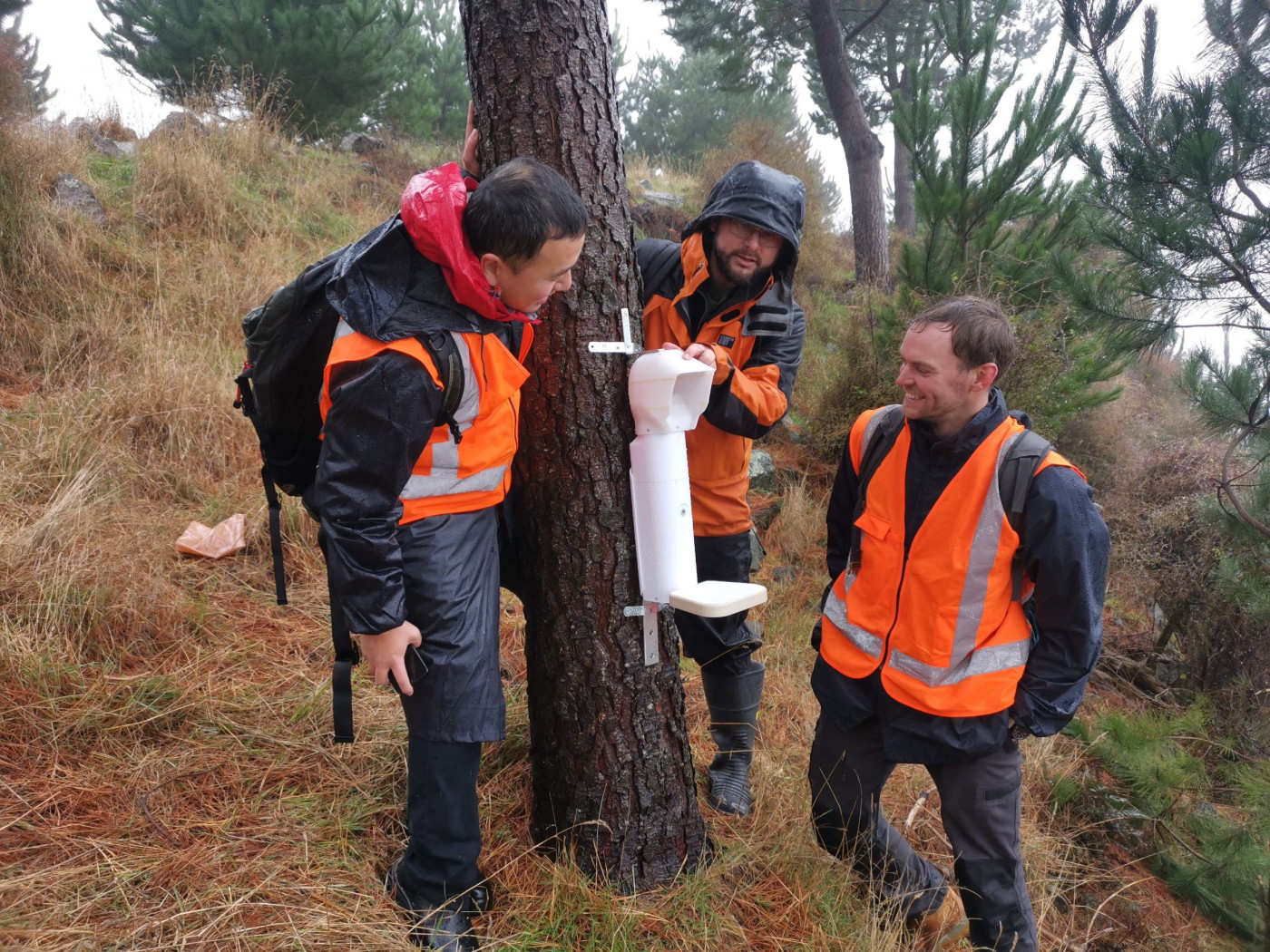 Envico Technologies team setting a smart trap around the base of a tree