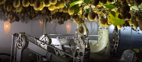 Kiwifruit picking robot