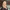 Karen Thorn LinkedIn profile pic