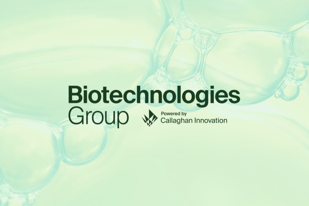 FINAL CI 2025 304 Newsletter Web Header (1000 x 667 px) (1)