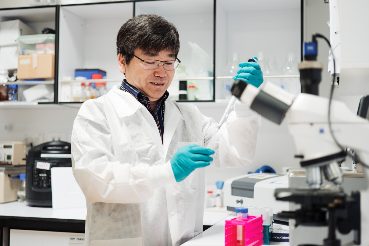 Genetic Analysis & Vector Disign