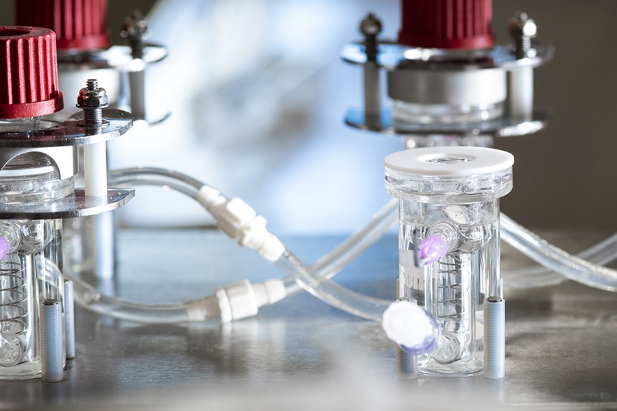 Assessments of Bioactivity