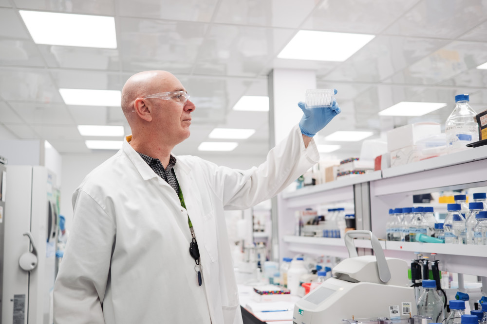 Molecular & Synthetic Biology