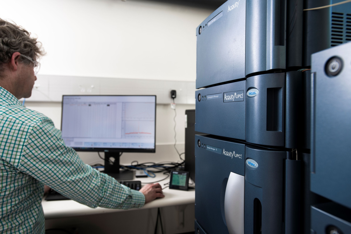 Protein Analysis and Characterisation