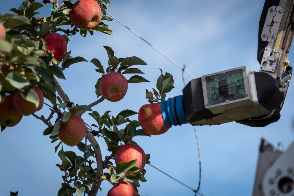 Agritech whare international immersion