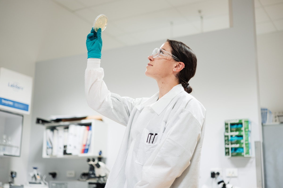 Anti microbial Testing Feature