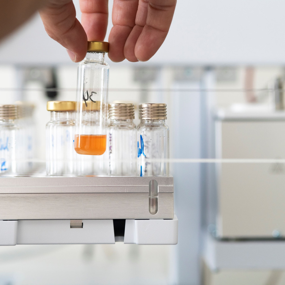 Bioactive Compound Analysis