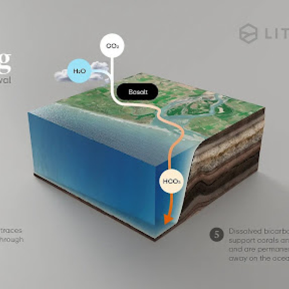 Carbon Capture