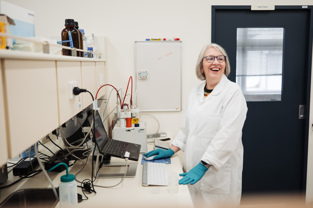 Discovery & Characterisation