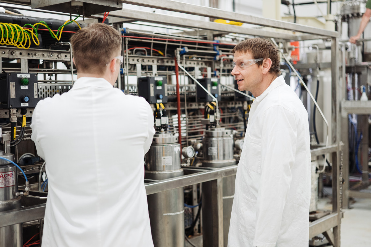 Food Processing Feature