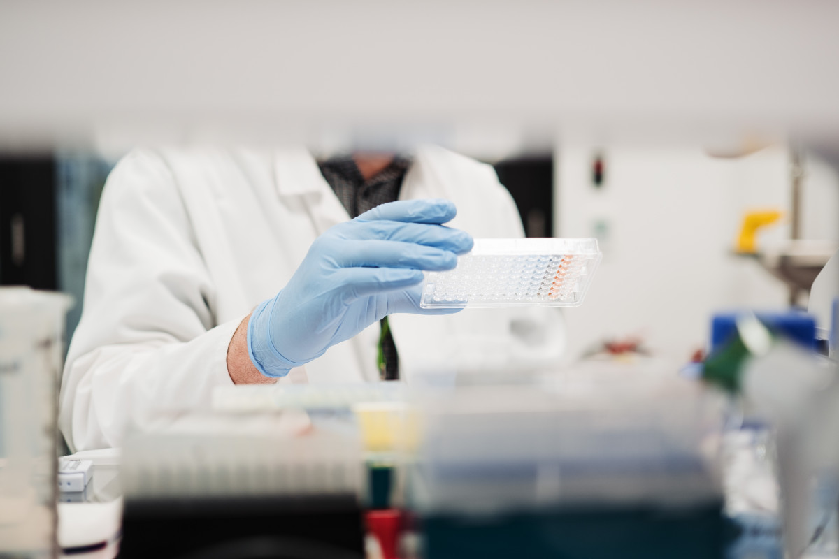 Host Organism Development Feature