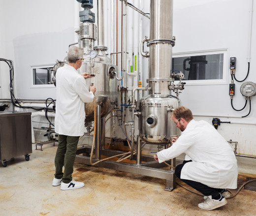 Hot aqueous extraction websize