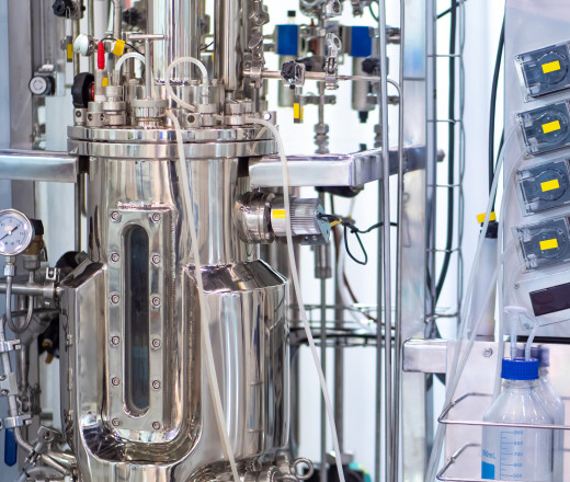 biomass fermentation R&D Fermentation 2