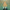 shutterstock 1186236139
