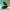 shutterstock 156837038