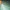 shutterstock 1851375634
