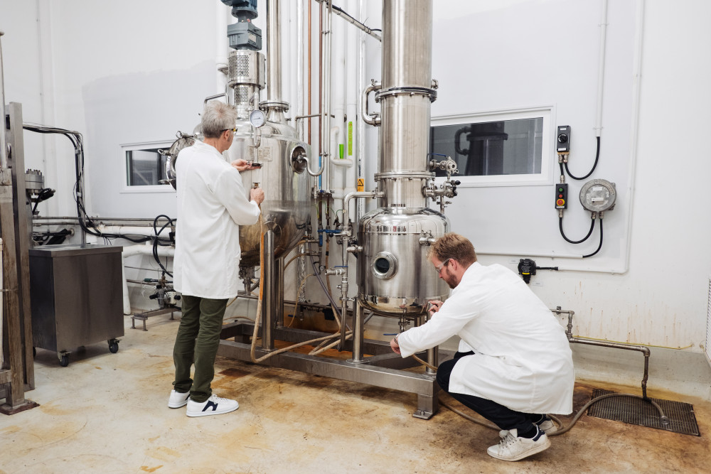 Food Ingredients Processing Focus