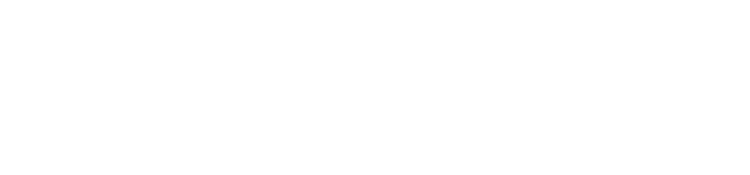 NZGovt logo expanded white