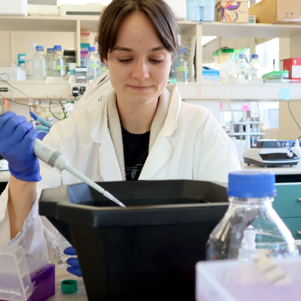 lab worker using a pipette - amaroq