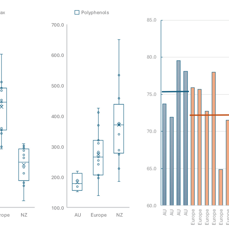 box plot olive oil study