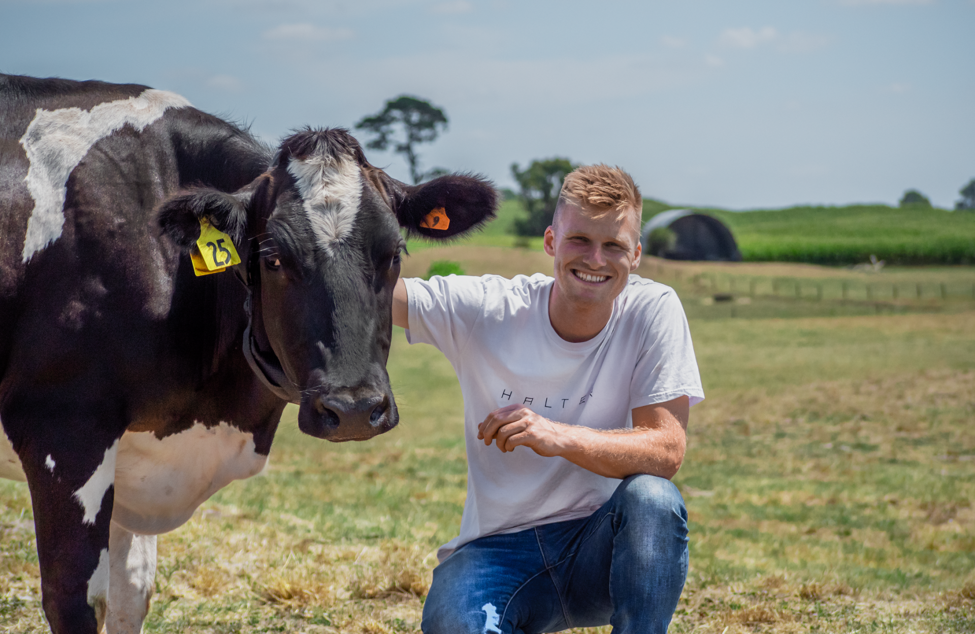 Halter [Main Image]