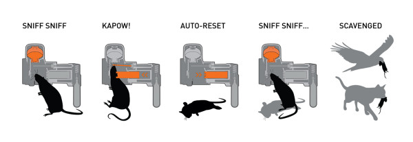 GoodNature pest trap infographic