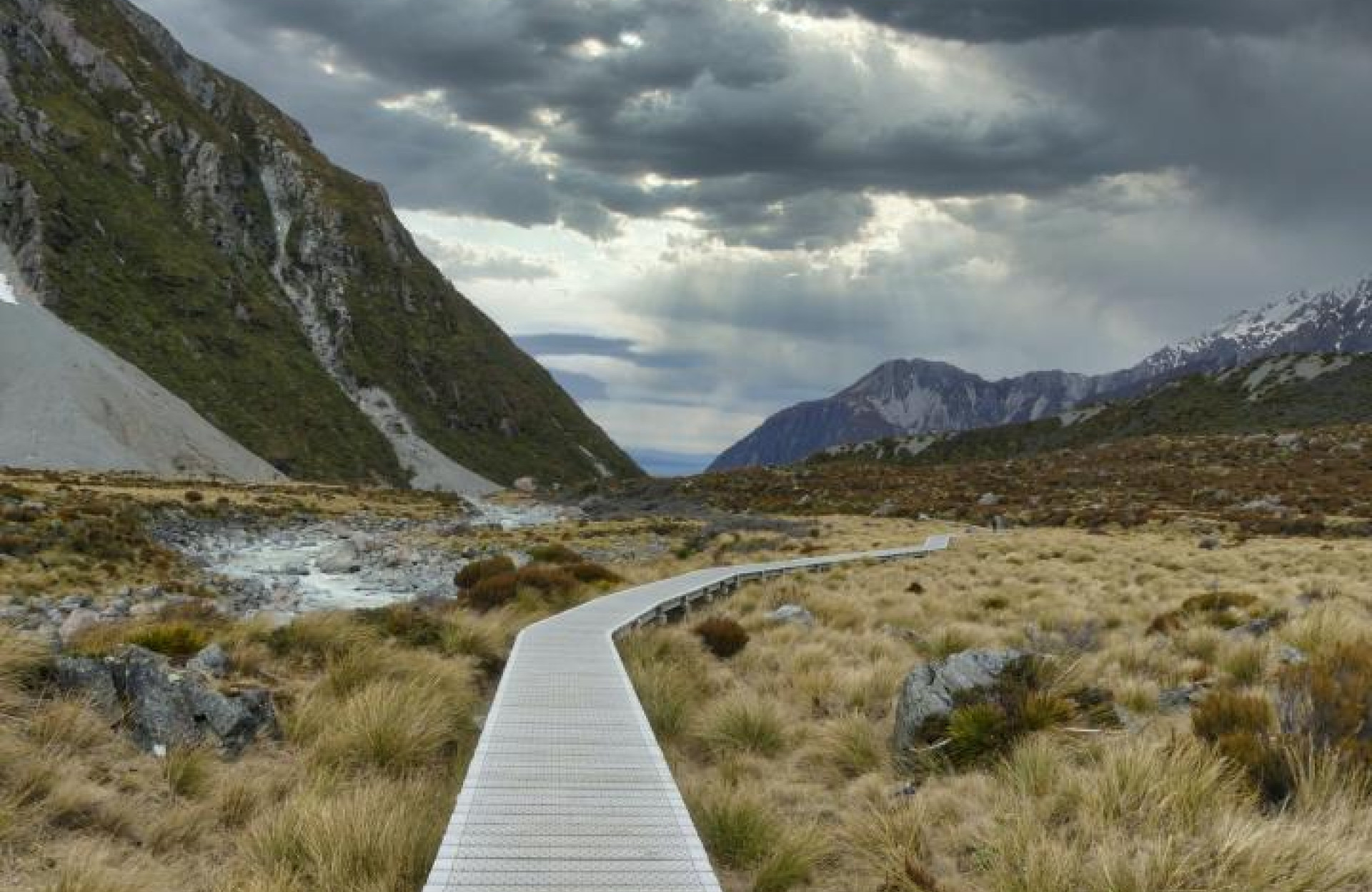 Callaghan innovation launches counselling service for startup founders