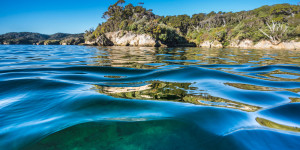 sanford ocean article image