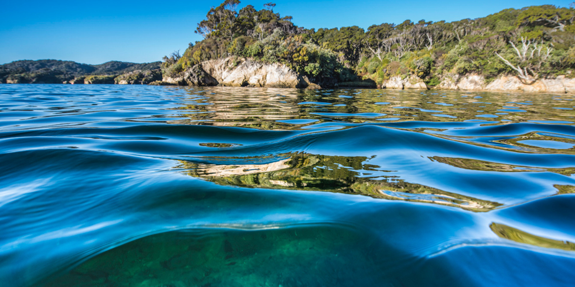 sanford ocean article image