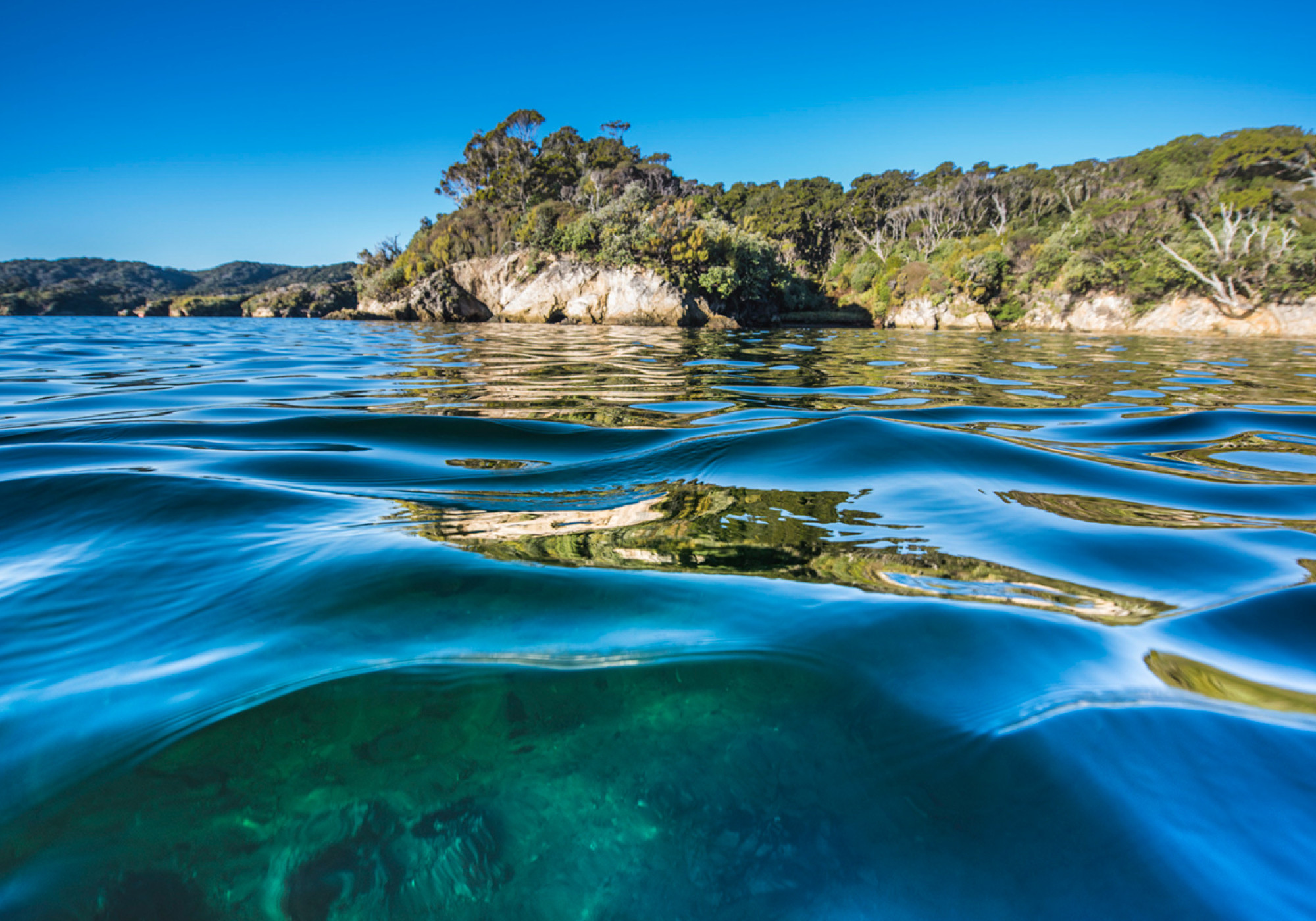 sanford ocean article image