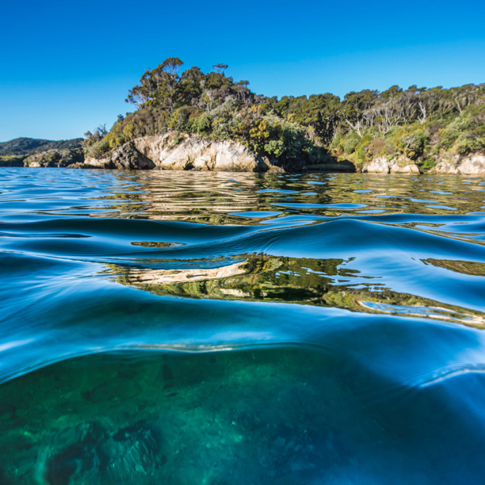 sanford ocean article image