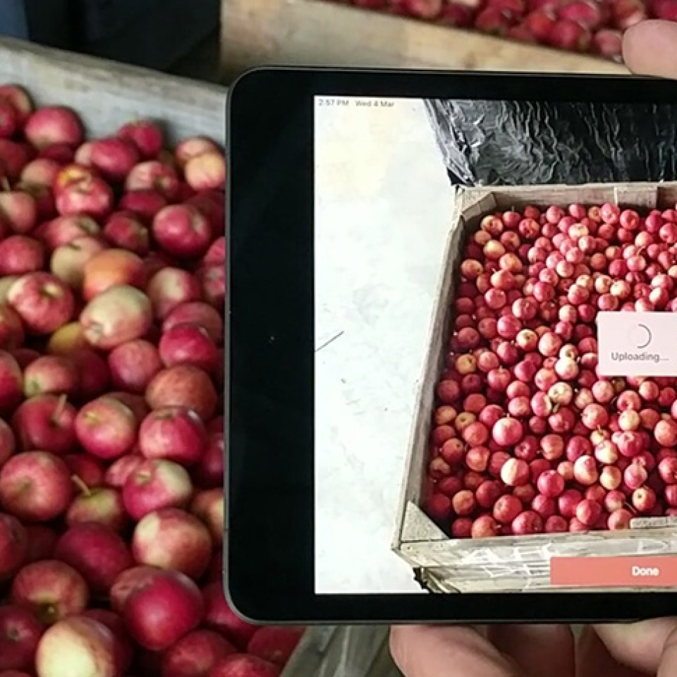 spectre apple bin customer story